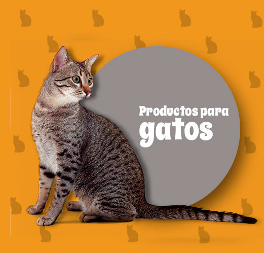 Productos para Gato | CatShop