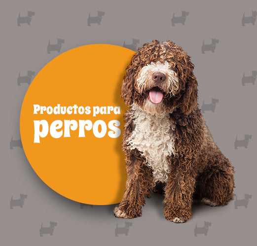 Productos para Perro | DogShop