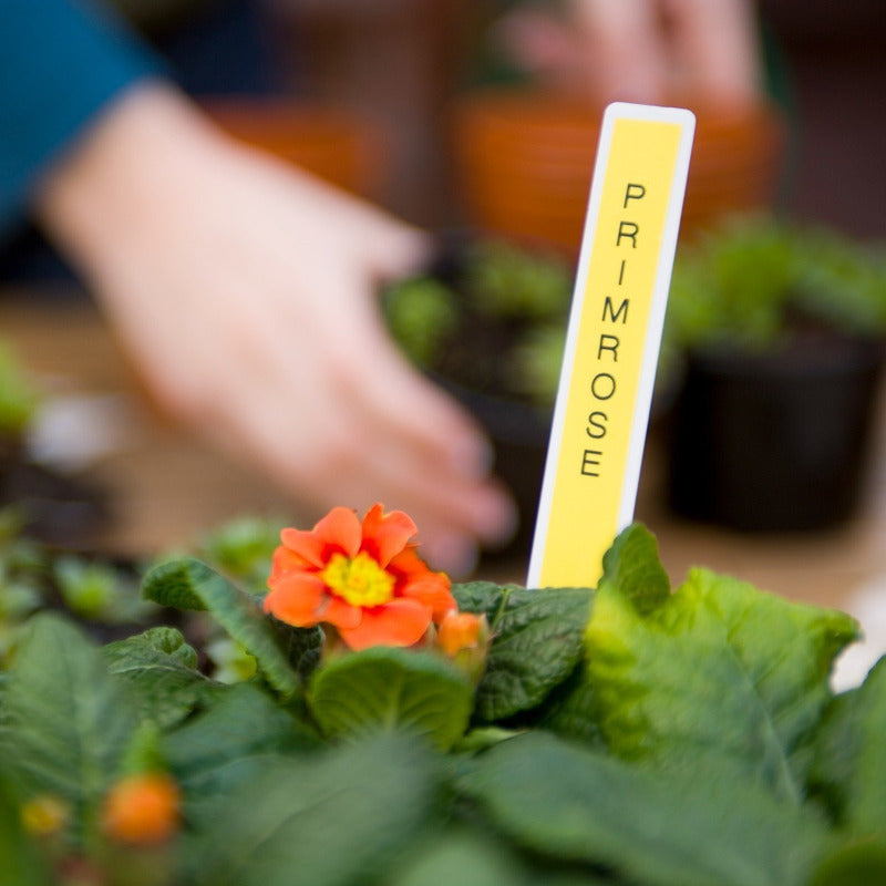 Tze-435 tape for Brother Pt model, 12mm x 8m