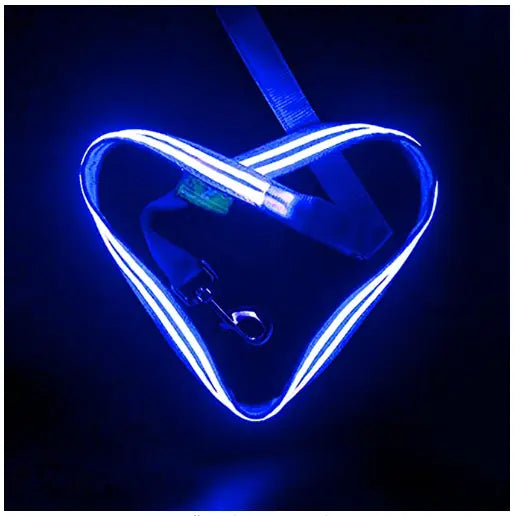 Correa Doble Banda LED USB Recargable - LumiPets