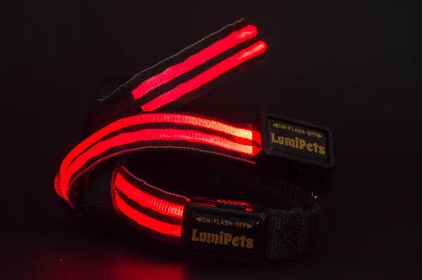 Correa Doble Banda LED USB Recargable - LumiPets