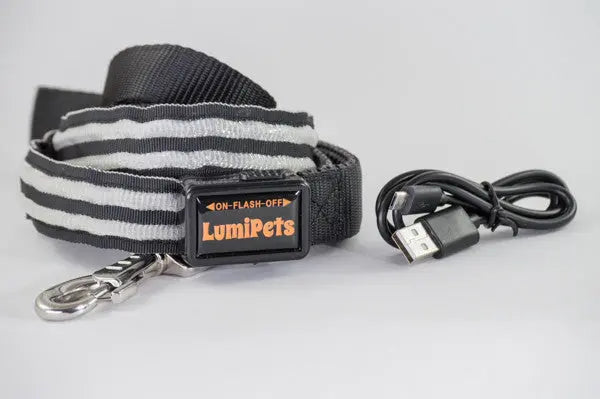 Correa Doble Banda LED USB Recargable - LumiPets