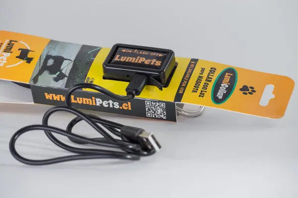 Correa Doble Banda LED USB Recargable - LumiPets