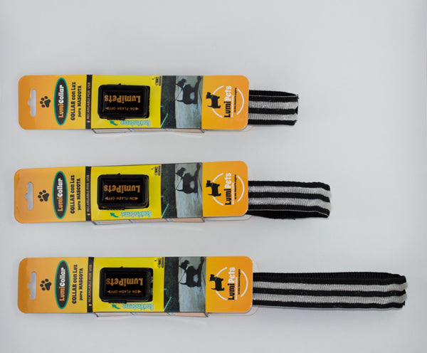 Kit Collar y Correa led Luminosa Recargable USB LumiPets