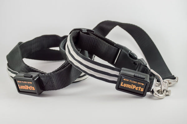 Kit Collar y Correa led Luminosa Recargable USB LumiPets