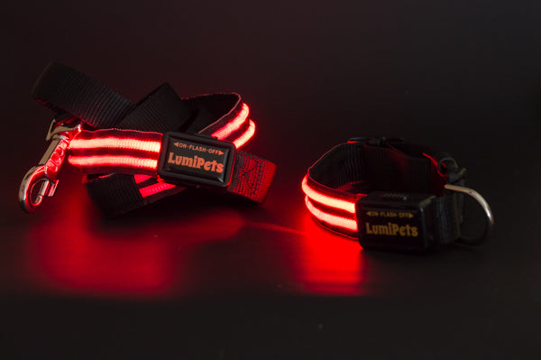 Kit Collar y Correa led Luminosa Recargable USB LumiPets