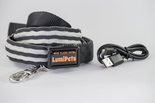 Kit Collar y Correa led Luminosa Recargable USB LumiPets