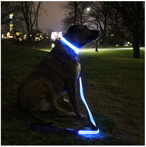 Kit Collar y Correa led Luminosa Recargable USB LumiPets