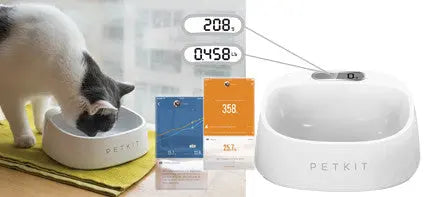 Smart Bowl - Plato Antibacteriano con Balanza Incorporada
