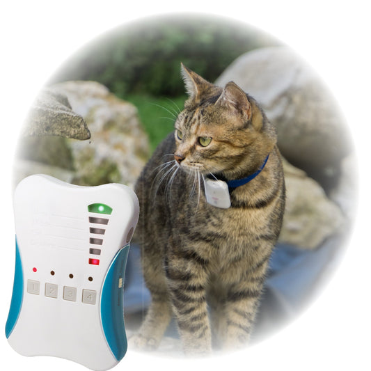 mini Rastreador Tipo GPS para Mascota - Pro Tracker