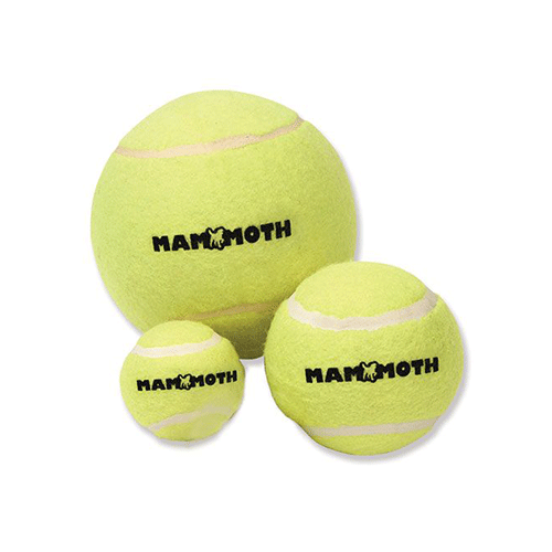 Pelota Tenis - Tennis Ball - Mammoth