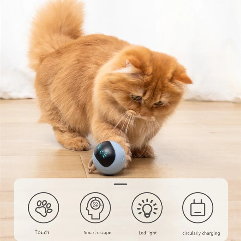 Pelota con Cola Smart Interactiva - Recargable USB