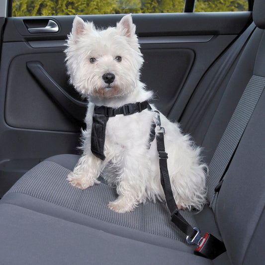 Pechera + Cinturón de Seguridad de Auto para Perro - Trixie