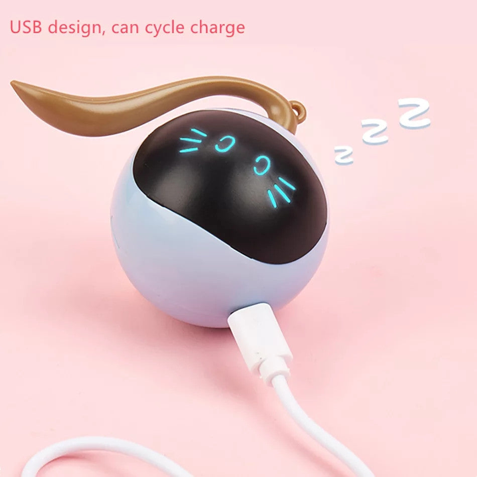 Pelota con Cola Smart Interactiva - Recargable USB