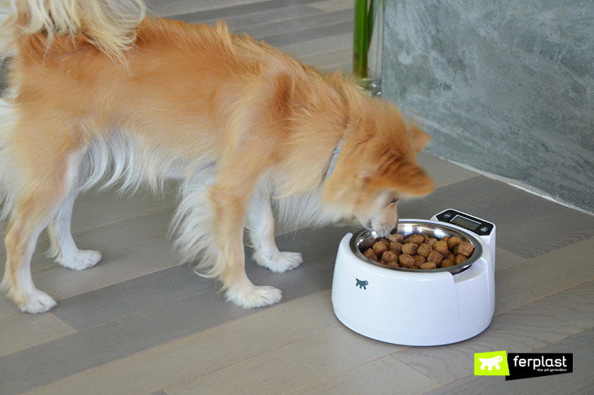 Smart Optima Bowl  - Plato con Balanza Incorporada - Ferplast