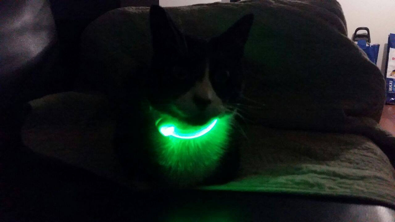 Collar de Aro LED Recargable Flexible - TRIXIE