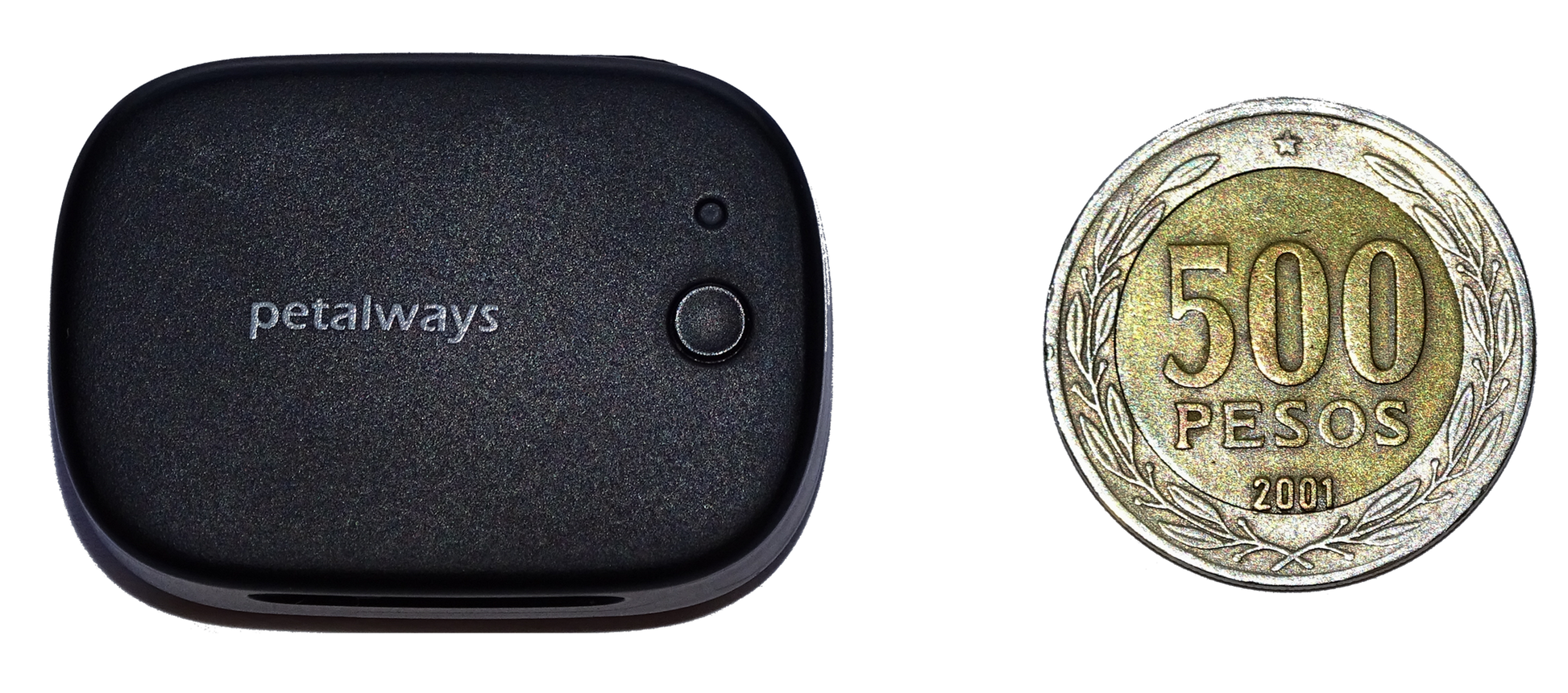 Mini GPS para Mascota - Petalways