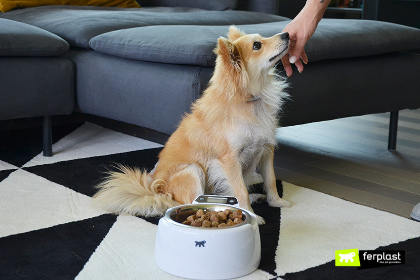 Smart Optima Bowl  - Plato con Balanza Incorporada - Ferplast