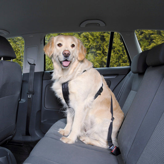 Pechera + Cinturón de Seguridad de Auto para Perro - Trixie