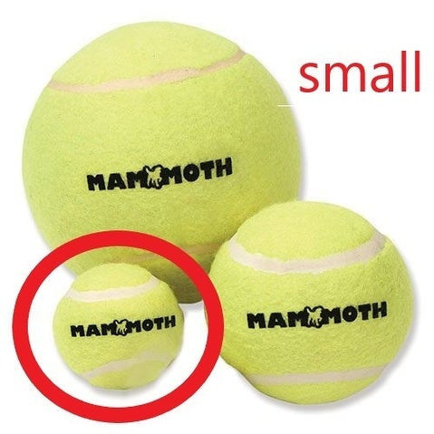 Pelota Tenis - Tennis Ball - Mammoth