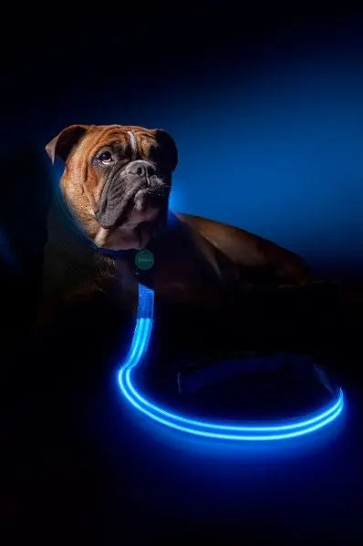 Correa Doble Banda LED USB Recargable - LumiPets