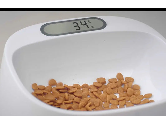Smart Bowl - Plato Antibacteriano con Balanza Incorporada