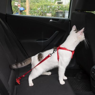 Arnés Pechera + Cinturón Seguridad de Auto para Gato - Trixie