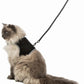 Arnes pechera XXL con correa para gato - Trixie