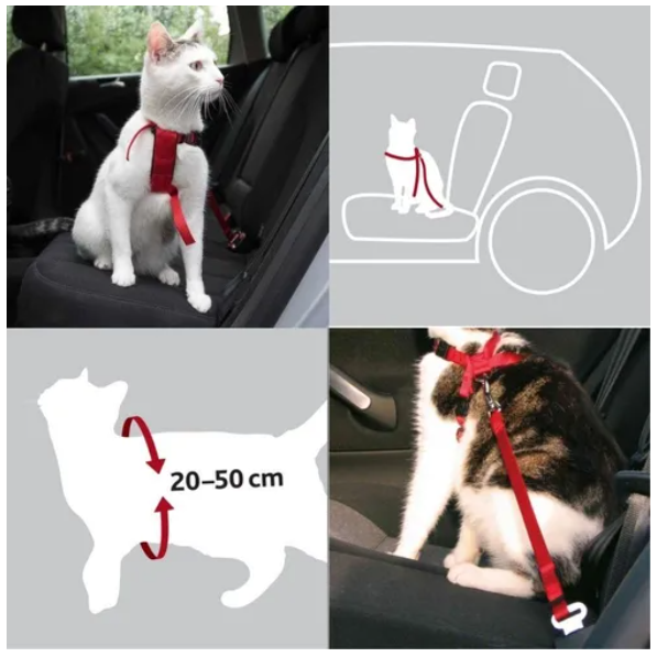 Seat belt hot sale harness for cats