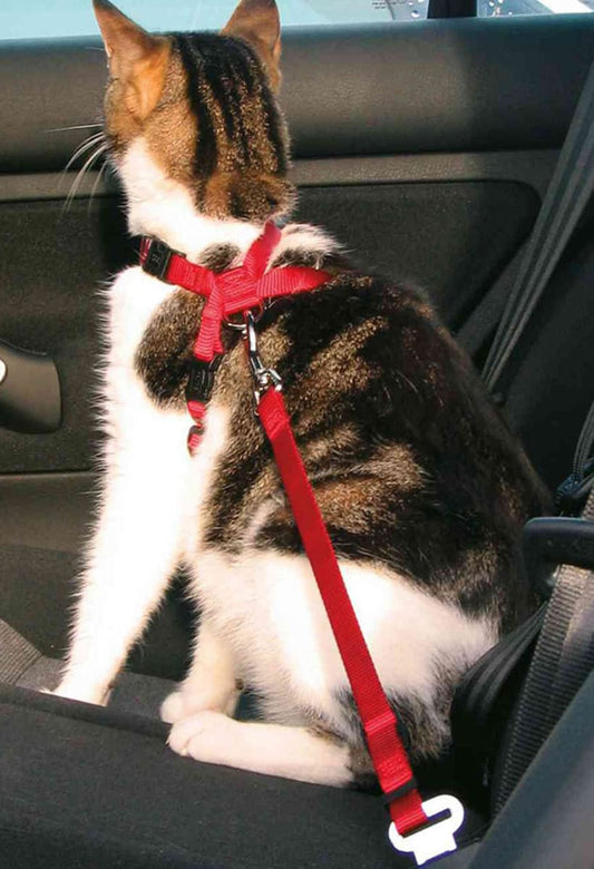 Arnés Pechera + Cinturón Seguridad de Auto para Gato - Trixie
