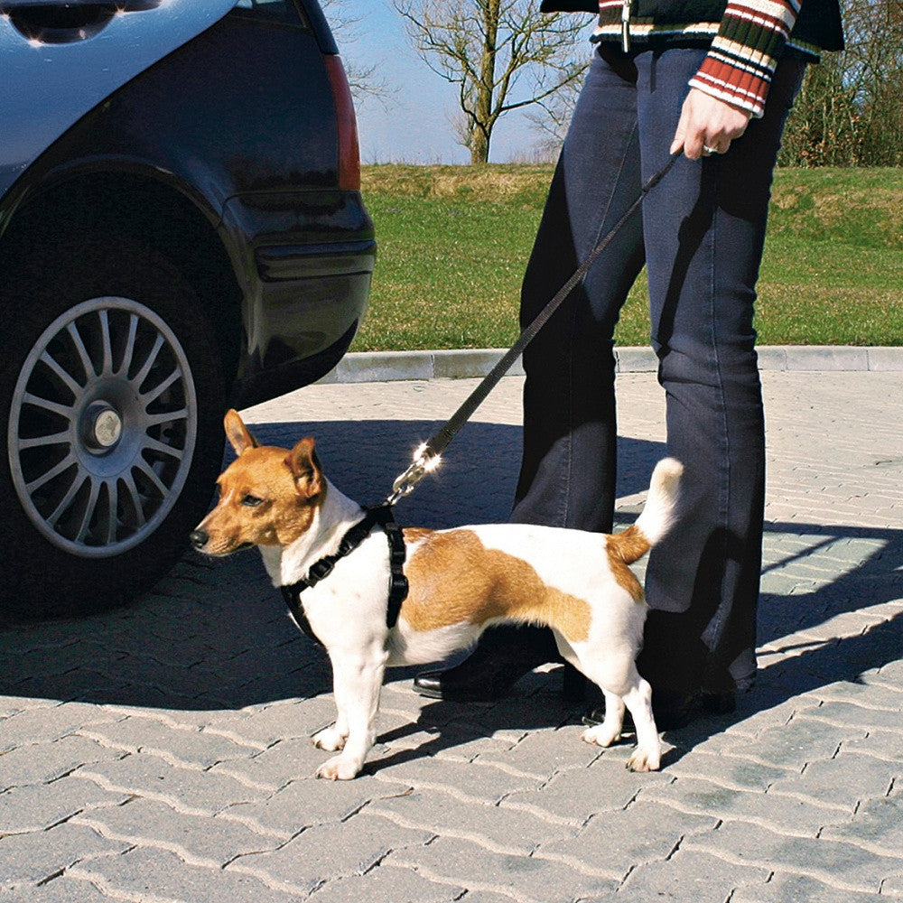 Cinturón de Seguridad de Auto Trixie para Perros en Amigales Chile