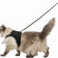Arnes pechera XXL con correa para gato - Trixie