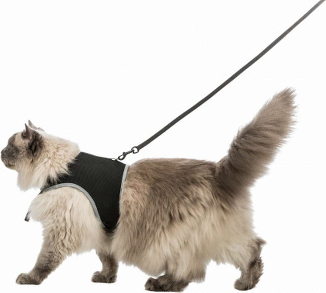 XXL chest harness with leash for cats - Trixie