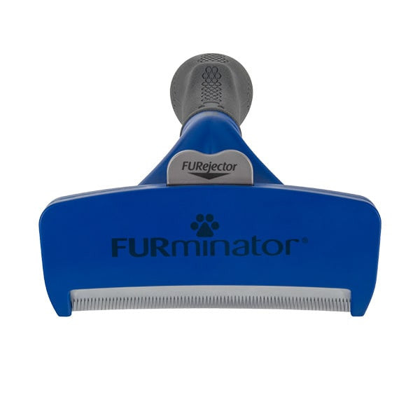 Hair brush for short hair deals dog