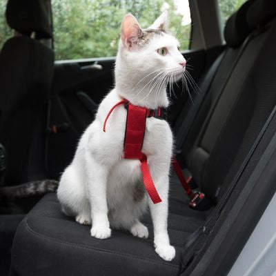 Cat Chest Harness + Car Seat Belt - Trixie